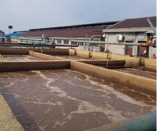 出水氨氮大于進水氨氮，怎么回事？