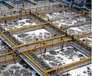 生化池出水氨氮超標提標怎么辦？