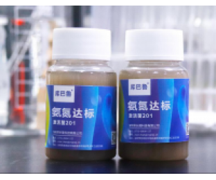 生化系統崩潰，氨氮超標，我該怎么辦?