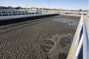 【干貨】泥齡導致的氨氮超標？那這種情況該如何處理呢？