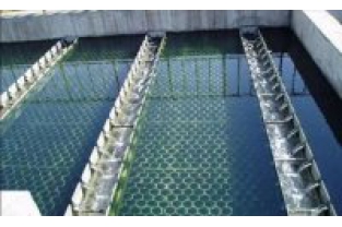 【干貨】生物濾池為什么一受沖擊氨氮去除率就會下降？